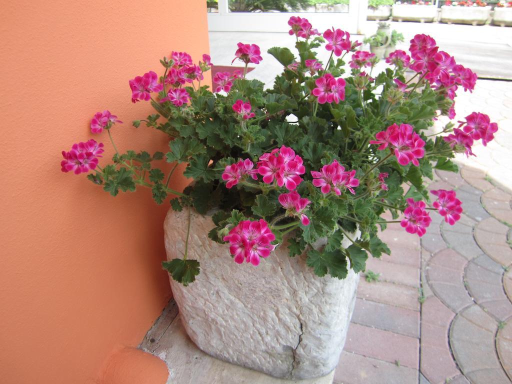 Albergo Villa Mimosa Torbole Sul Garda Exterior foto